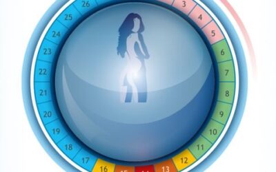 Connaître son cycle et sa période d’ovulation