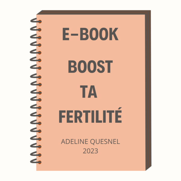 BOOST TA FERTILITÉ- EBOOK